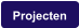 Projecten